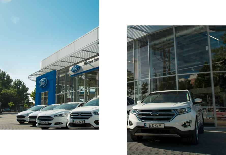 Ford Automotive Showroom